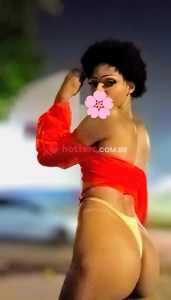 image_688193c764a68.png